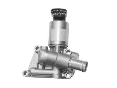 EGR Valves