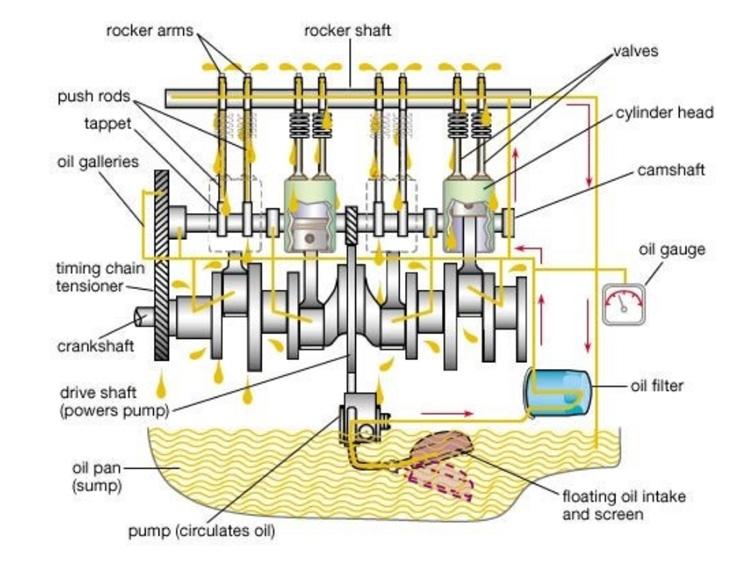 The oil circulation system in a car engine oil pumps